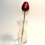 ⁦هدية الورده الأبدية ✨⁩ - الصورة ⁦10⁩